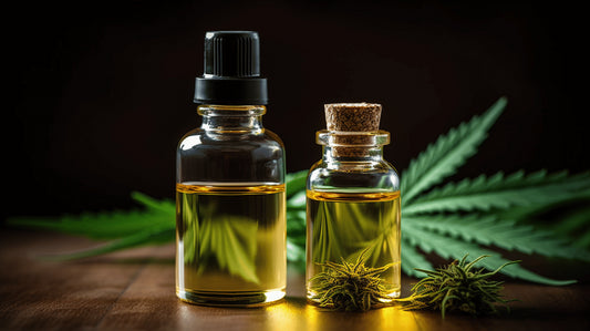 CBD Seed Oils vs Hemp CBD Oils